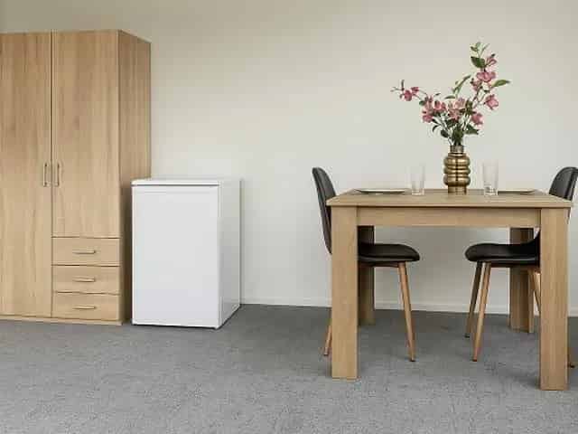 Kamer Volmerlaan Rijswijk: Studentenkamers met gedeelde faciliteiten