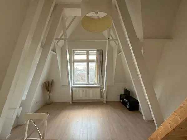 Studio Utrecht Maliestraat  21m2  Slaapvide Nabij Centrum