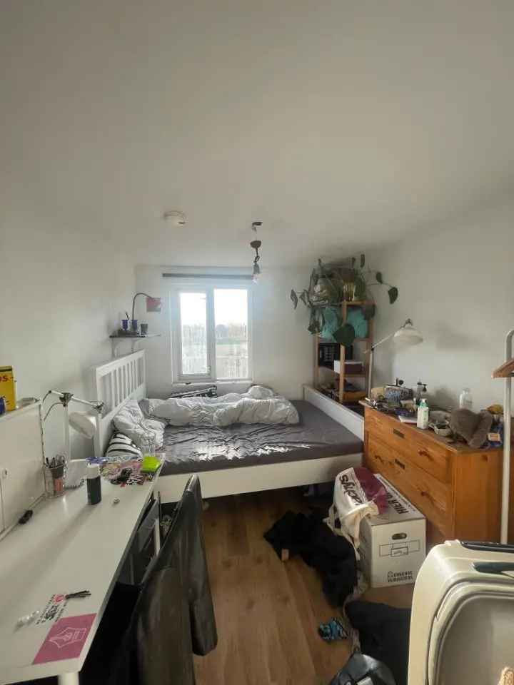 Room available immediately in Amsterdam