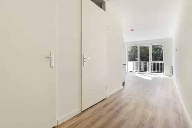 Studio Amsterdam Frankendael 35m2 2018