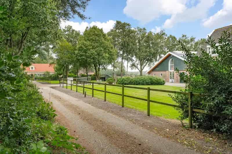 Paardenhouderij te Koop Schijf: 52 Boxen, Opfok, Binnen- en Buitenpiste