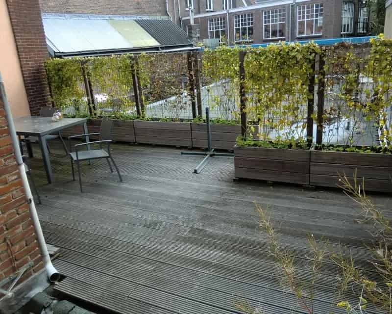 Kamer Nijmegen Oost Centrum 15m2 Dakterras