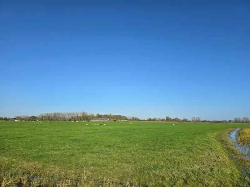Agrarische Grond Aduard 463 ha Te Koop
