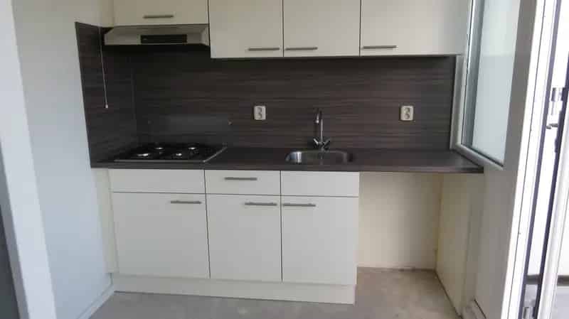 Ruim 5 Kamer Appartement te Huur De Nieuwe Es
