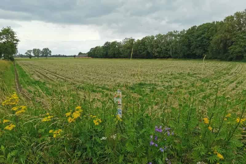 Agrarische Grond Escharen te Koop - Natuurgebied