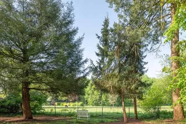 Bouwgrond Laren - Droomvilla op unieke locatie