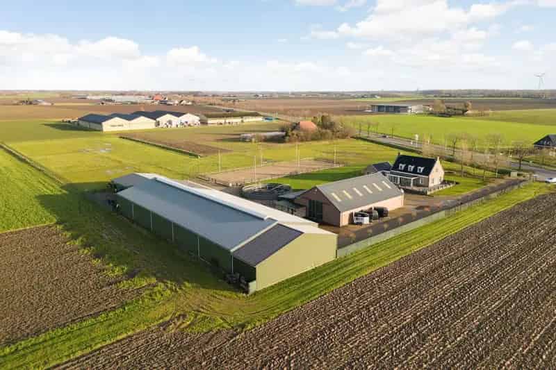 Hippisch Bedrijf Zevenbergen te Koop