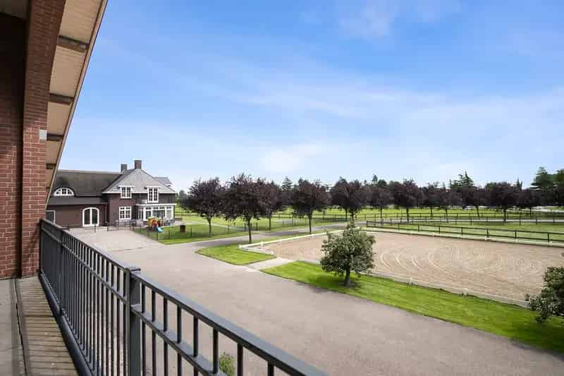 Luxe Hippische Accommodatie met Woning en 39 Paardenstallen