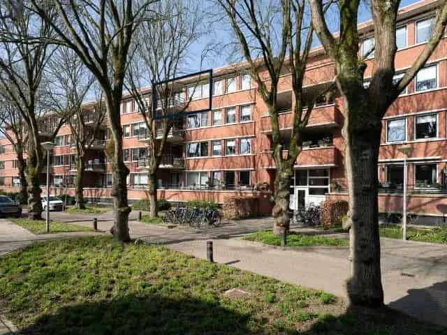 Tweekamerappartement Alkmaar  Iepenlaan - 57m²