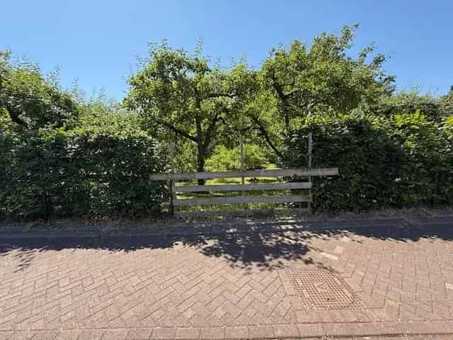 Bouwgrond Elst 1145m2 Vrijstaande Woning Bijgebouwen
