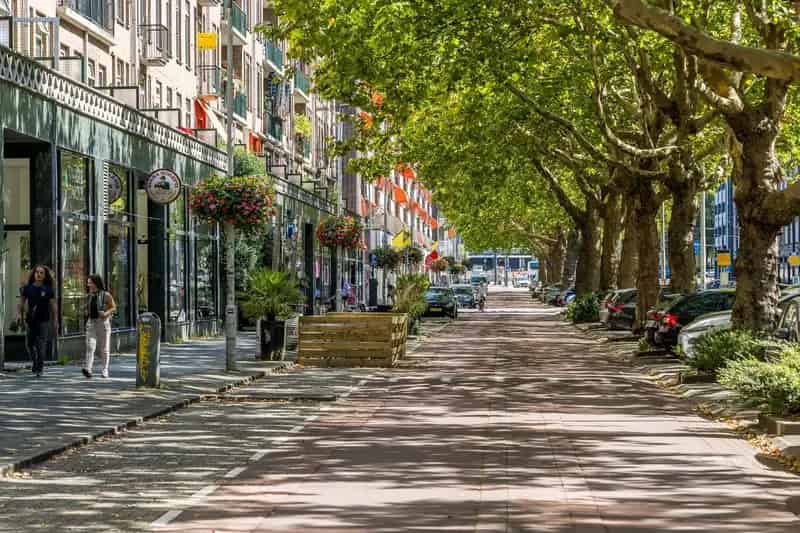 Winkel Rotterdam | Zoek winkels te huur: Goudsesingel 87 3031 EE Rotterdam 