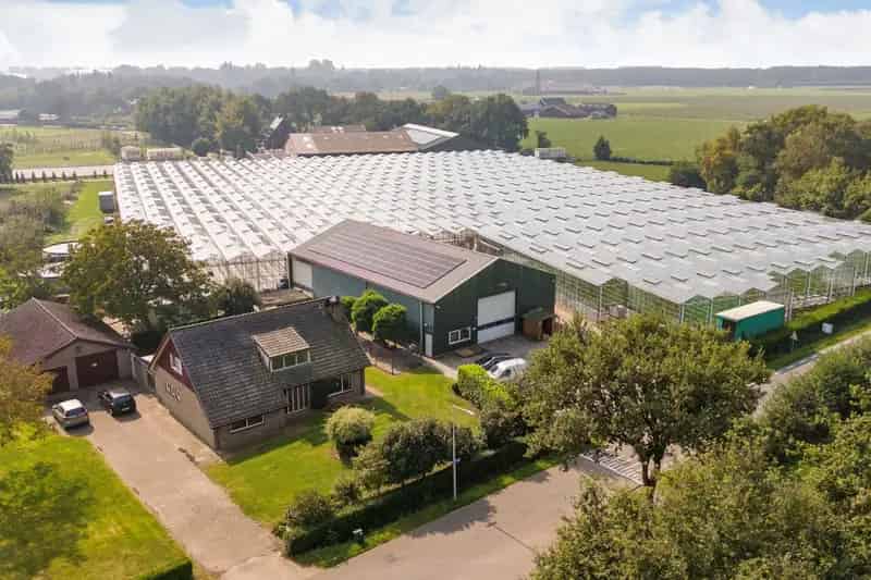 Glastuinbouwbedrijf Bergen op Zoom te koop