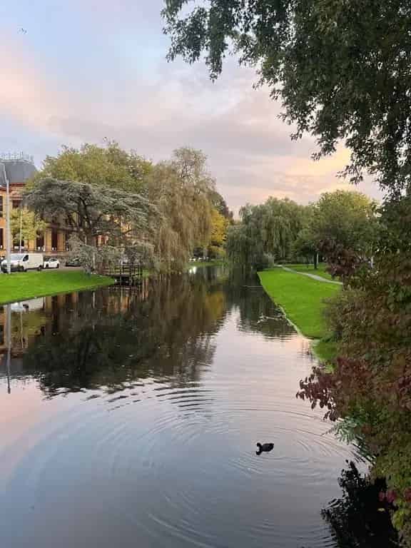 Studio Rotterdam Oude Noorden: Studentenkamer 1 jaar