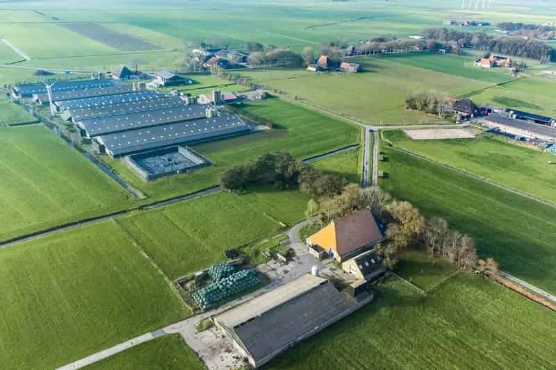 Agrarisch bedrijf te koop Warns: 36 ha grond
