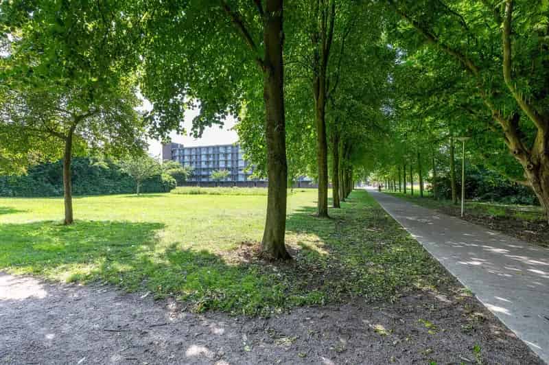 Ruim 3-kamerappartement Zwolle nabij groen en winkelcentrum