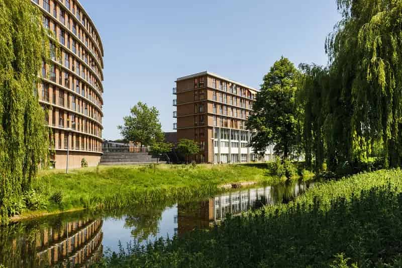 Appartement Te Huur , 20, Luzernevlinder, Utrecht, Utrecht