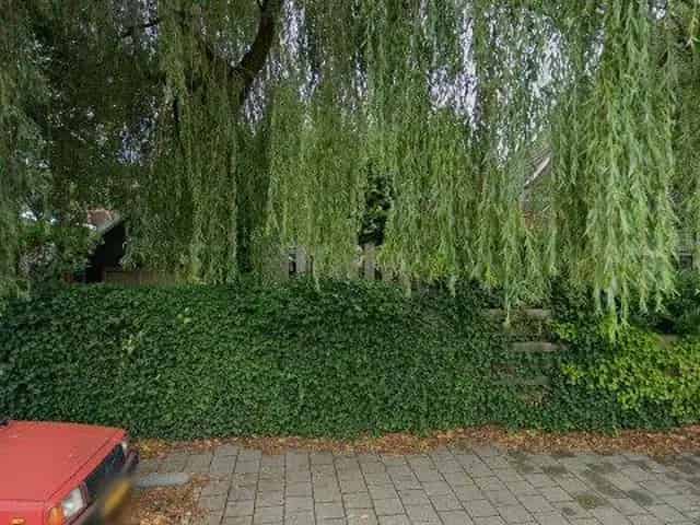 Penthouse te huur Castricum 243m2 3 slaapkamers