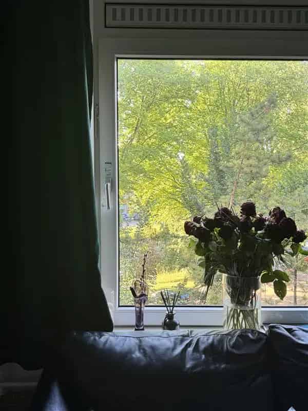 Kamer te Huur Amsterdam Noord - Kanaalzicht