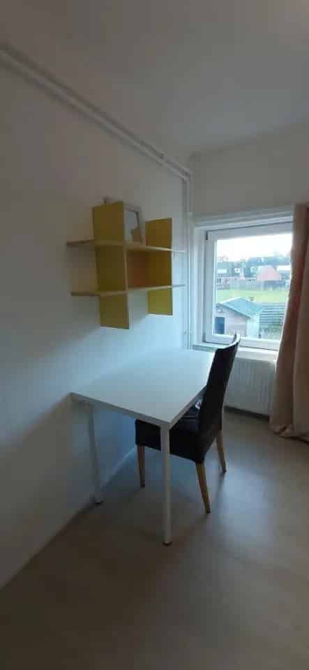 Gezellige kamer voor masterstudente of uitwisselingsstudente