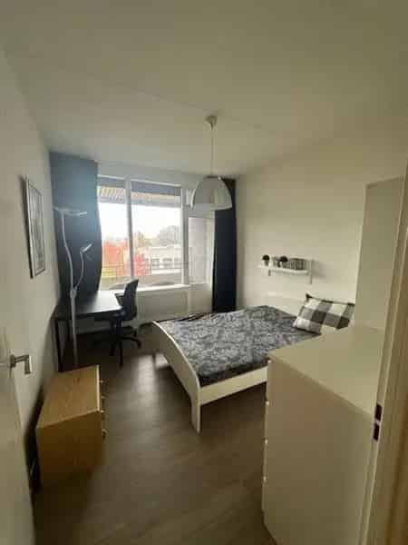 4 Kamer Appartement Eindhoven Gestel Studenten