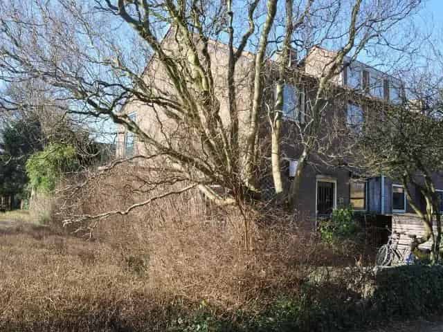 Hoekwoning Muiderberg Van der Helstpark