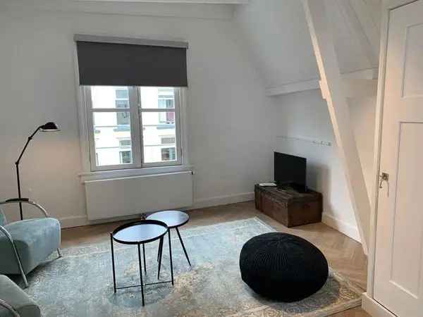 Nijmegen Centrum Top Appartement Gerenoveerd Gemeubileerd Dakterras