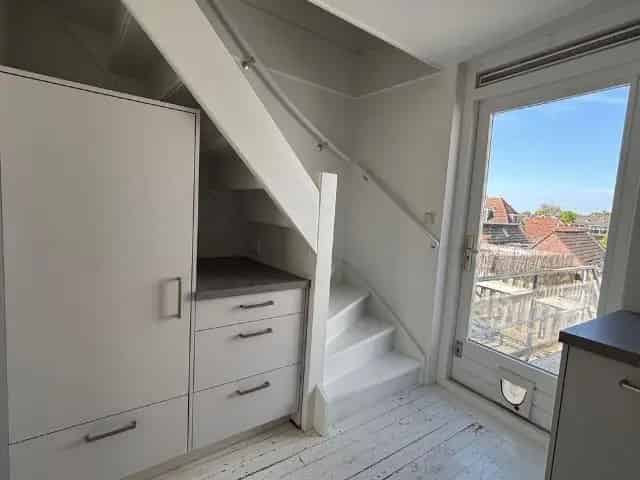 3 Kamer Appartement Haarlem Centrum Dakterras