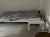 Kamer Arnhem Johan de Wittlaan 17m2