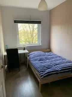 Kamer te Huur Rotterdam Centrum - Direct Beschikbaar