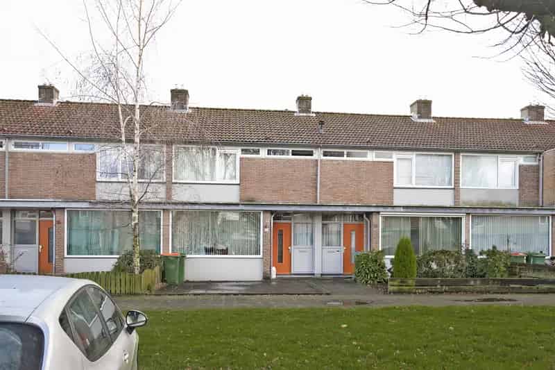 Zolder met vaste trap en tuin