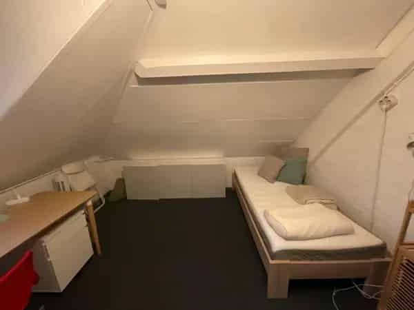 Kamer Arnhem Centraal - Studentenkamer Starterwoning