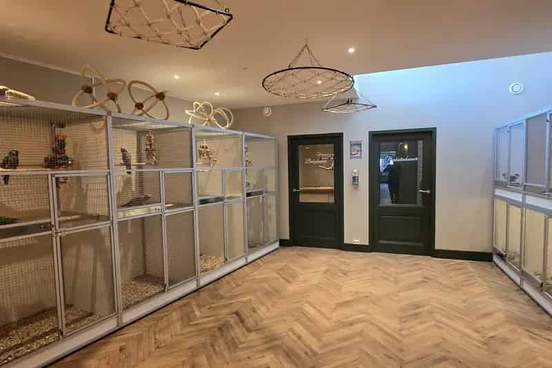 Winkelruimte te koop Eindhoven Hoogstraat