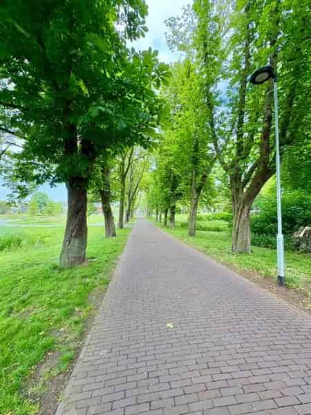 Rijksmonumentale woning nabij stadspark tijdelijke verhuur