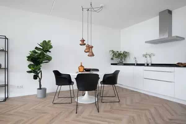 Appartement huren Nieuw Delft De Delvenaer