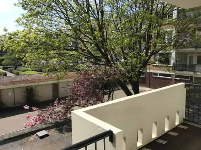 Luxueus 3-kamerappartement Amsterdam Zuidas