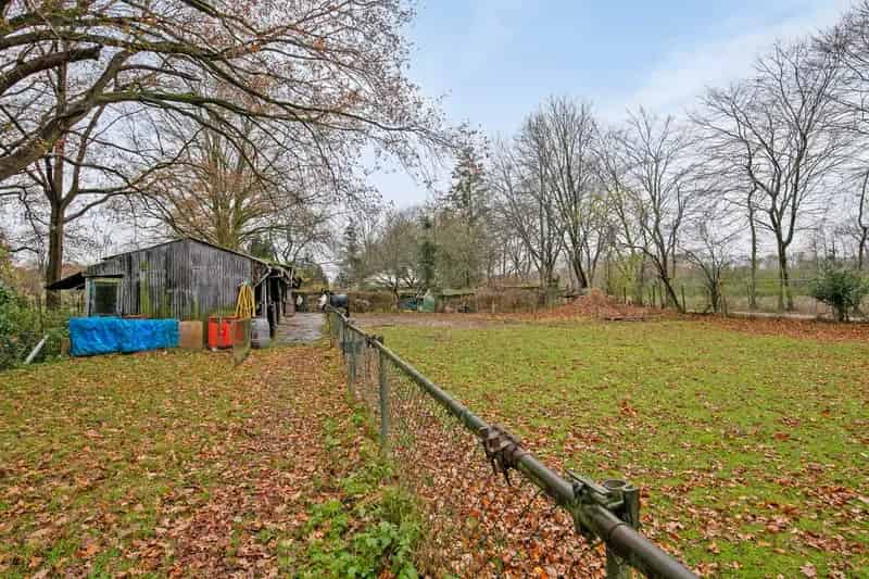 Agrarisch bedrijf Hilvarenbeek 11365m2  Woonhuis Paardenhouderij
