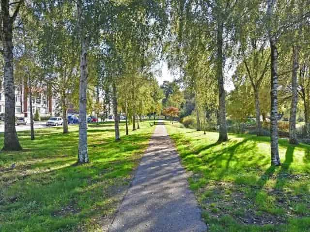 3 Kamer Appartement Voorburg  Uitzicht Park t Loo