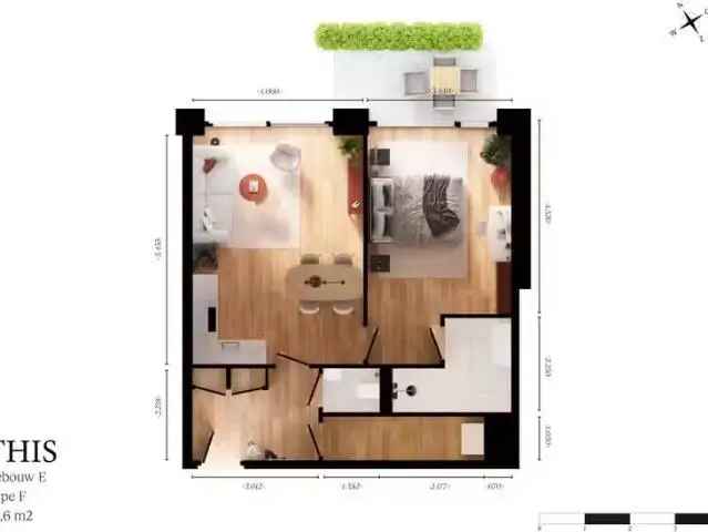 Tweekamerappartementen Amsterdam Grasweg