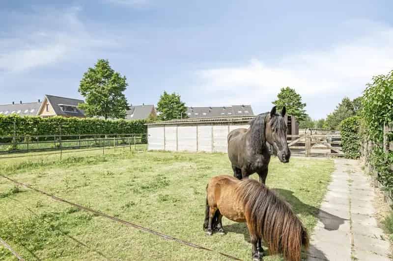 Huis Te Koop , 29, Middeldijk, Barendrecht, Zuid-Holland