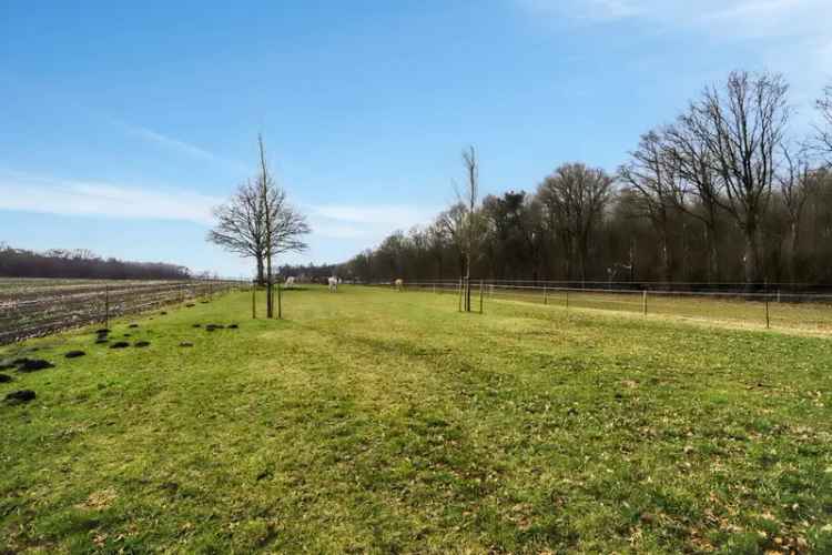 Landelijke woning te koop Gilze: ideaal voor dierenliefhebbers en ZZP'ers
