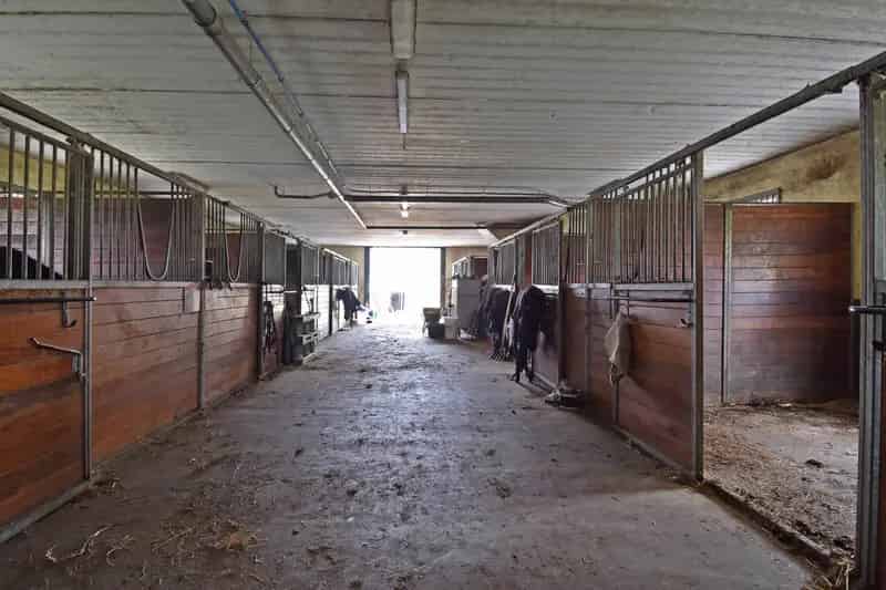 Woonboerderij met 29 Paardenstallen Zoetermeer