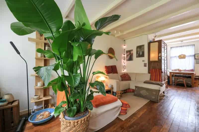 Huis te koop Zaandam Klokbaai 68