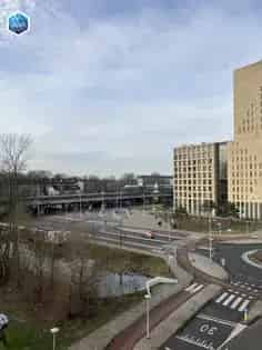 1 Kamer Appartement 19m2 Amsterdam Kleine Huisdieren Toegestaan