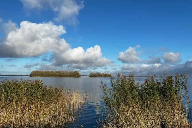 Huis te koop Naarderbos 5 slaapkamers Gooimeer uitzicht