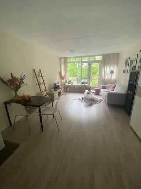 Portiekflat Groningen 2 kamers 40m2 te huur