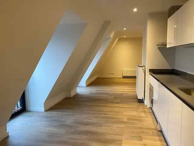 Groningen Centrum Loft 60m2 1 kamer te huur
