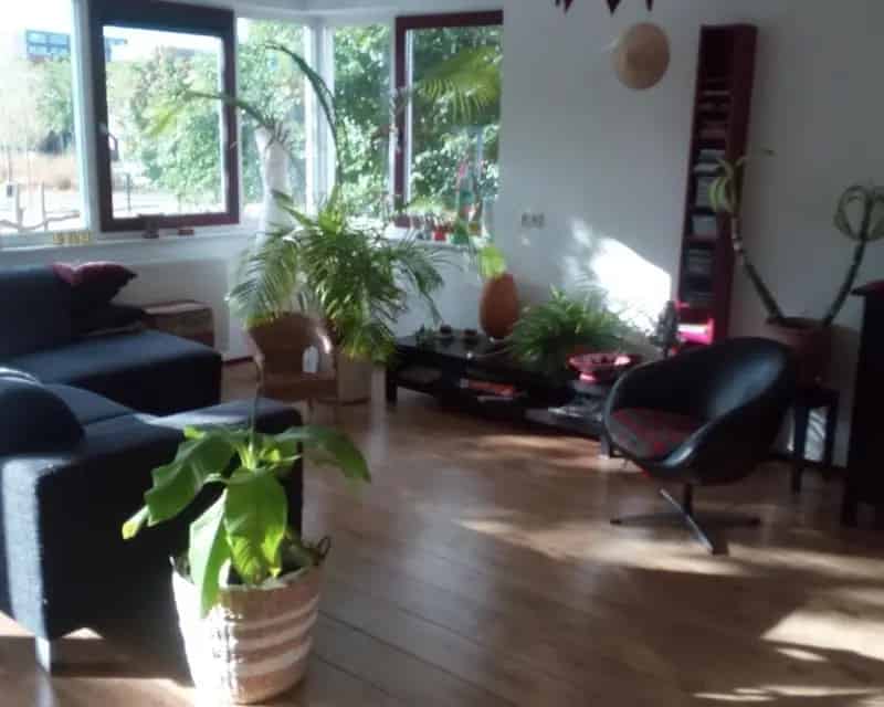 Tijdelijk appartement te huur IJburg: Kattenoppas gevraagd
