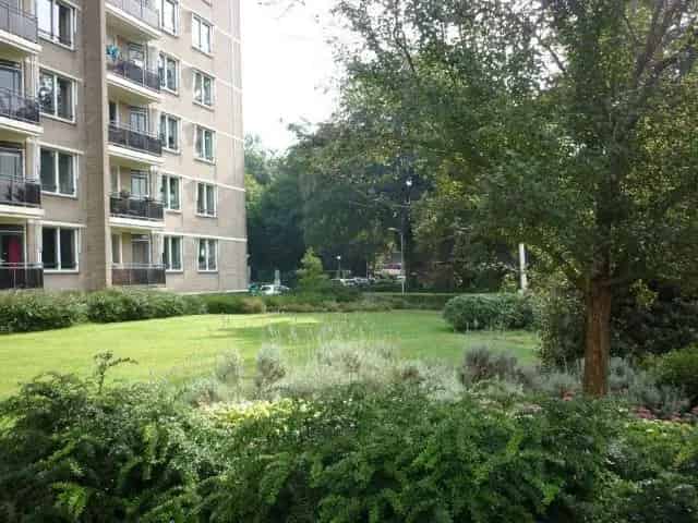 Appartement te huur Espoortstraat 902