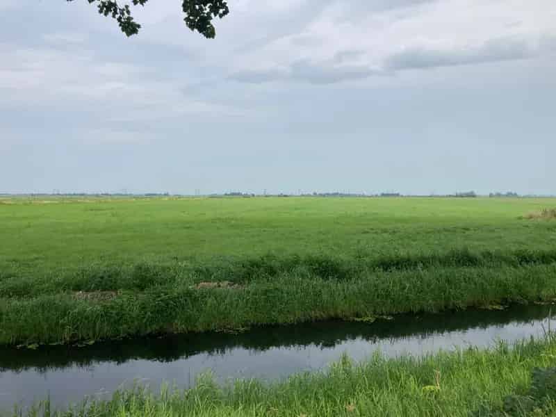 Agrarische grond IJsselmuiden | Zoek agrarische grond te koop: Oosterholtseweg 8271 PS IJsselmuiden 