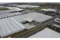 Bedrijfsruimte te Huur Aalsmeer 10500-23000 m2 Opslag Productie